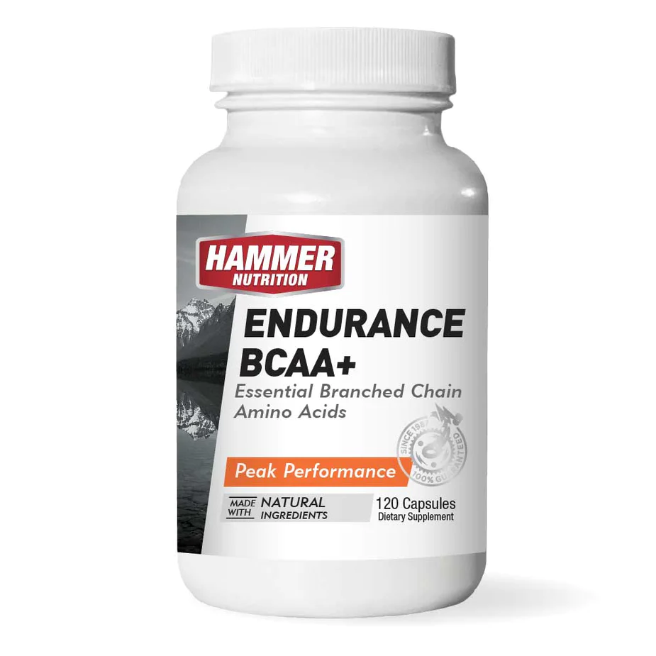 ENDURANCEBCAA.jpg.webp